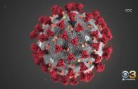 White House announces relief package for coronavirus